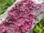 Natural Cobaltoan Dolomite Specimens x 4 From Kakanda, Congo - Toprock Gemstones and Minerals 