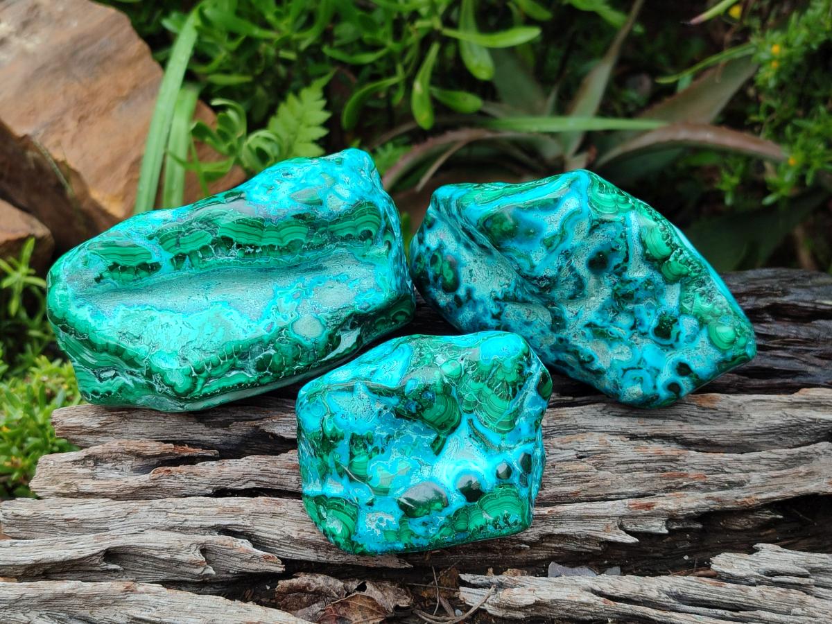 Polished Malacolla Free Forms x 3 From Kulukuluku, Congo - Toprock Gemstones and Minerals 