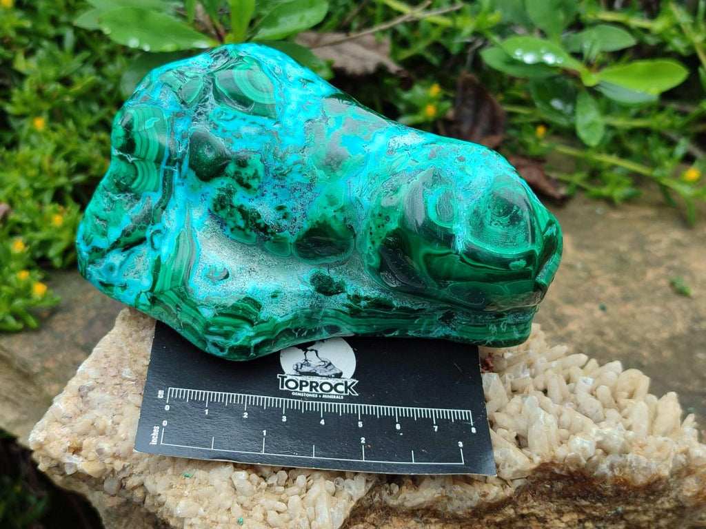 Polished Malacolla Free Forms x 3 From Kulukuluku, Congo - Toprock Gemstones and Minerals 