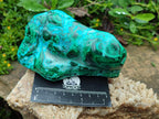 Polished Malacolla Free Forms x 3 From Kulukuluku, Congo - Toprock Gemstones and Minerals 