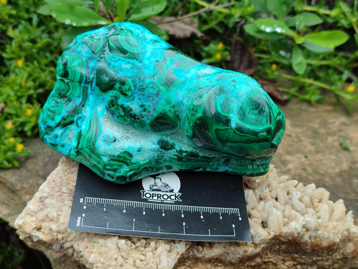 Polished Malacolla Free Forms x 3 From Kulukuluku, Congo - Toprock Gemstones and Minerals 