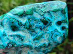 Polished Malacolla Free Forms x 3 From Kulukuluku, Congo - Toprock Gemstones and Minerals 