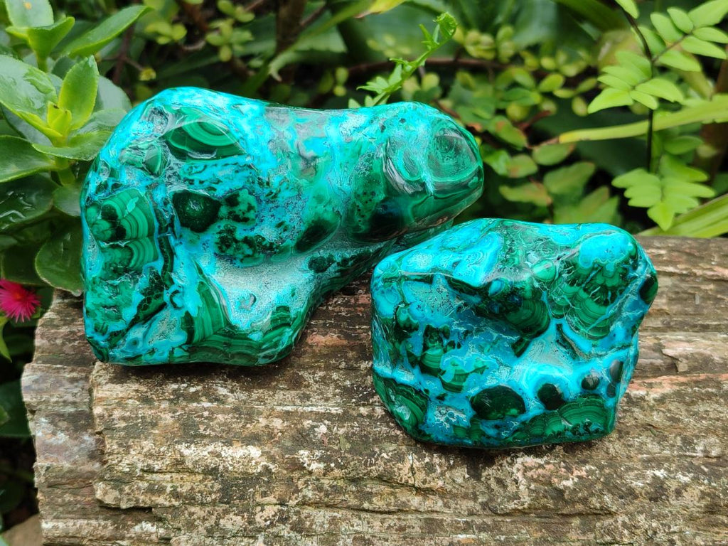 Polished Malacolla Free Forms x 3 From Kulukuluku, Congo - Toprock Gemstones and Minerals 