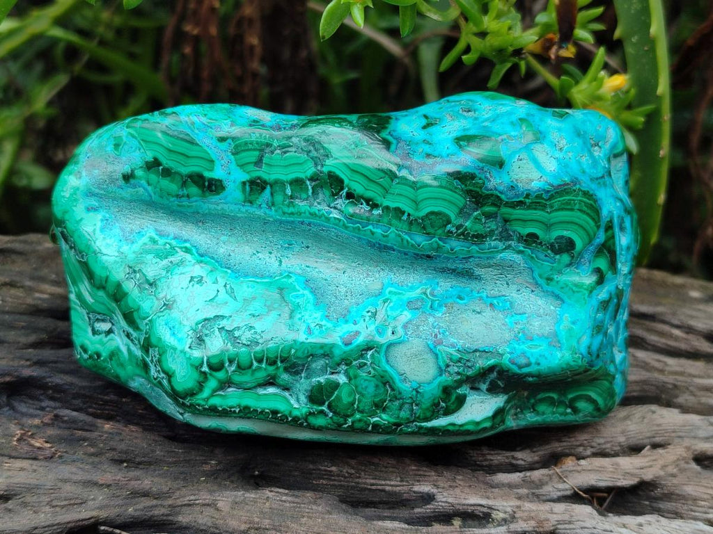 Polished Malacolla Free Forms x 3 From Kulukuluku, Congo - Toprock Gemstones and Minerals 