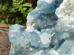 Natural XL Blue Celestite Geode Specimens x 1 From Sakoany, Madagascar - Toprock Gemstones and Minerals 