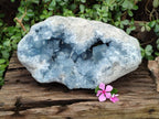Natural XL Blue Celestite Geode Specimens x 1 From Sakoany, Madagascar - Toprock Gemstones and Minerals 