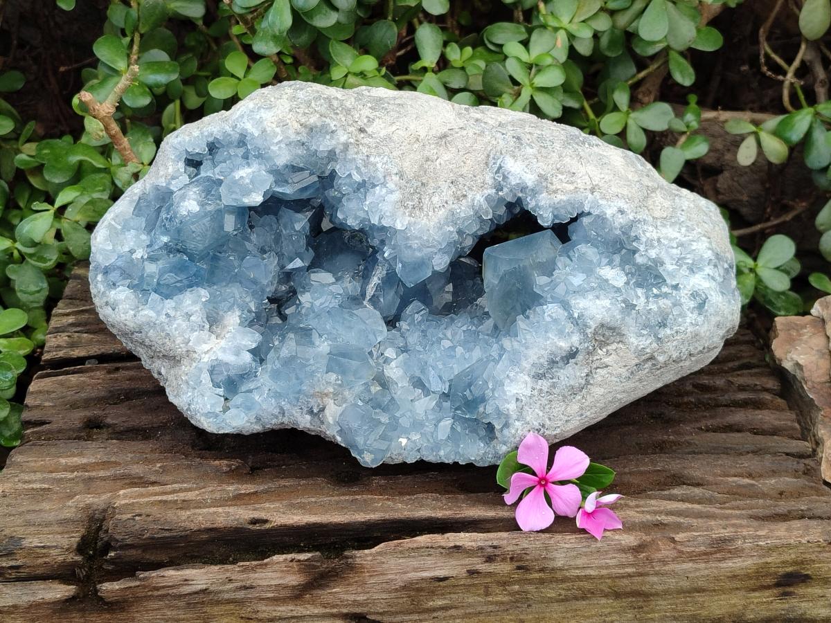 Natural XL Blue Celestite Geode Specimens x 1 From Sakoany, Madagascar - Toprock Gemstones and Minerals 