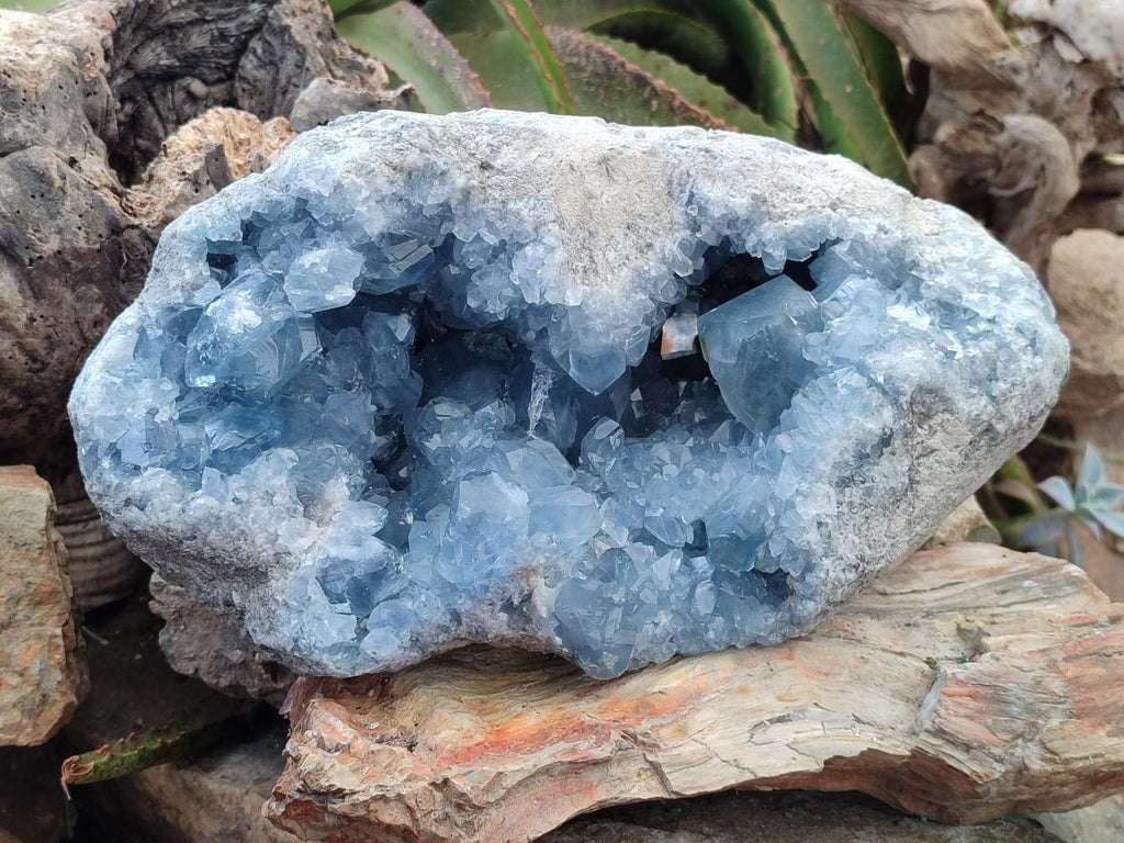 Natural XL Blue Celestite Geode Specimens x 1 From Sakoany, Madagascar - Toprock Gemstones and Minerals 