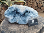 Natural XL Blue Celestite Geode Specimens x 1 From Sakoany, Madagascar - Toprock Gemstones and Minerals 
