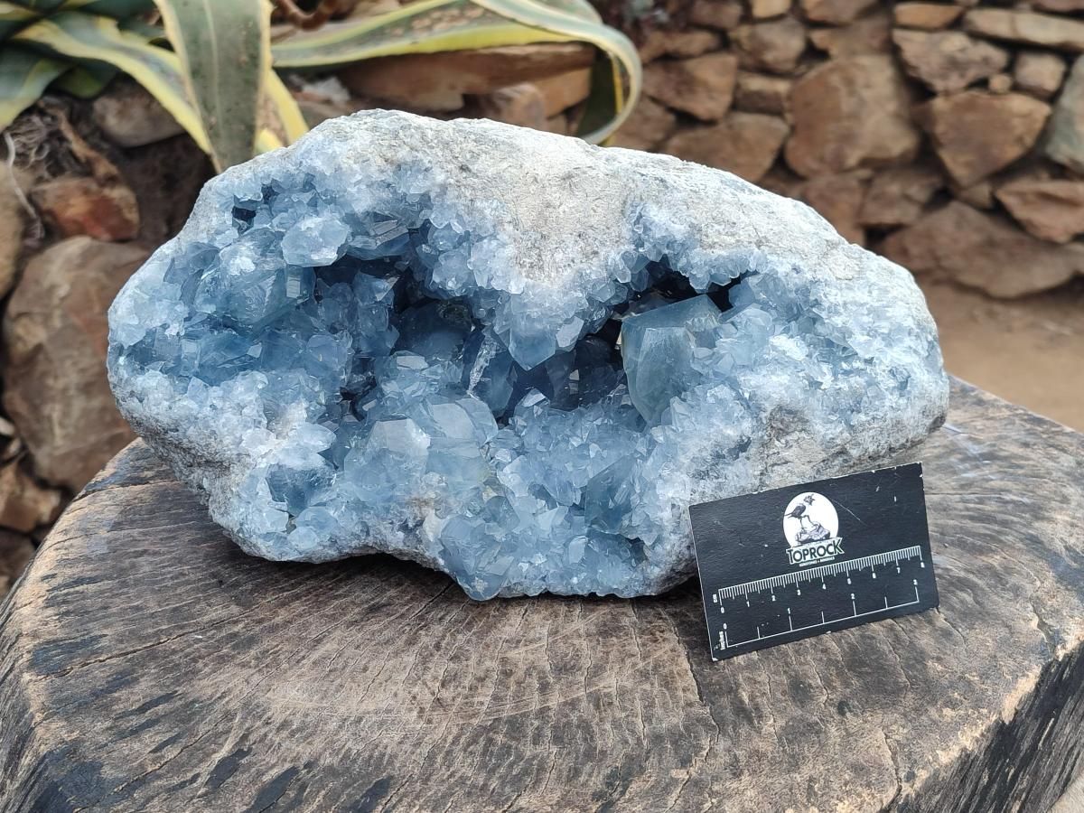 Natural XL Blue Celestite Geode Specimens x 1 From Sakoany, Madagascar - Toprock Gemstones and Minerals 