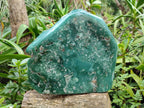 Polished On One Side XL Mtorolite Chrysoprase Standing Display Piece x 1 From Mutorashanga, Zimbabwe - Toprock Gemstones and Minerals 