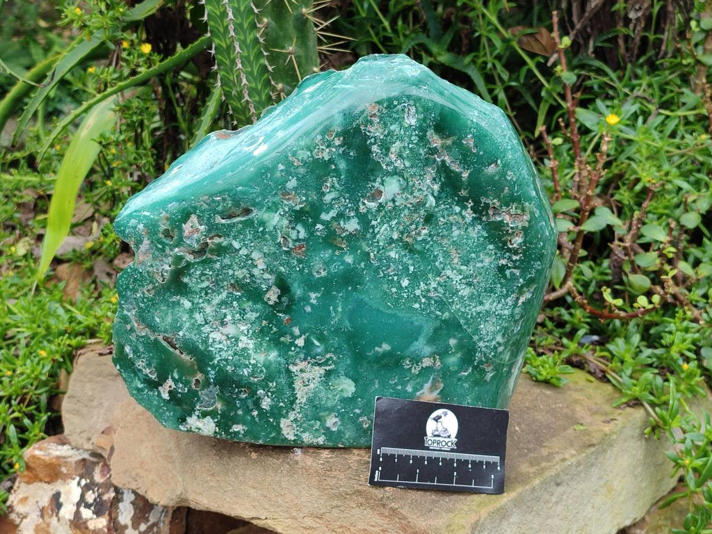 Polished On One Side XL Mtorolite Chrysoprase Standing Display Piece x 1 From Mutorashanga, Zimbabwe - Toprock Gemstones and Minerals 