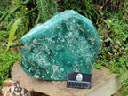 Polished On One Side XL Mtorolite Chrysoprase Standing Display Piece x 1 From Mutorashanga, Zimbabwe - Toprock Gemstones and Minerals 