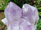 Natural Jacaranda Amethyst Crystal Clusters x 2 From Mumbwa, Zambia - Toprock Gemstones and Minerals 