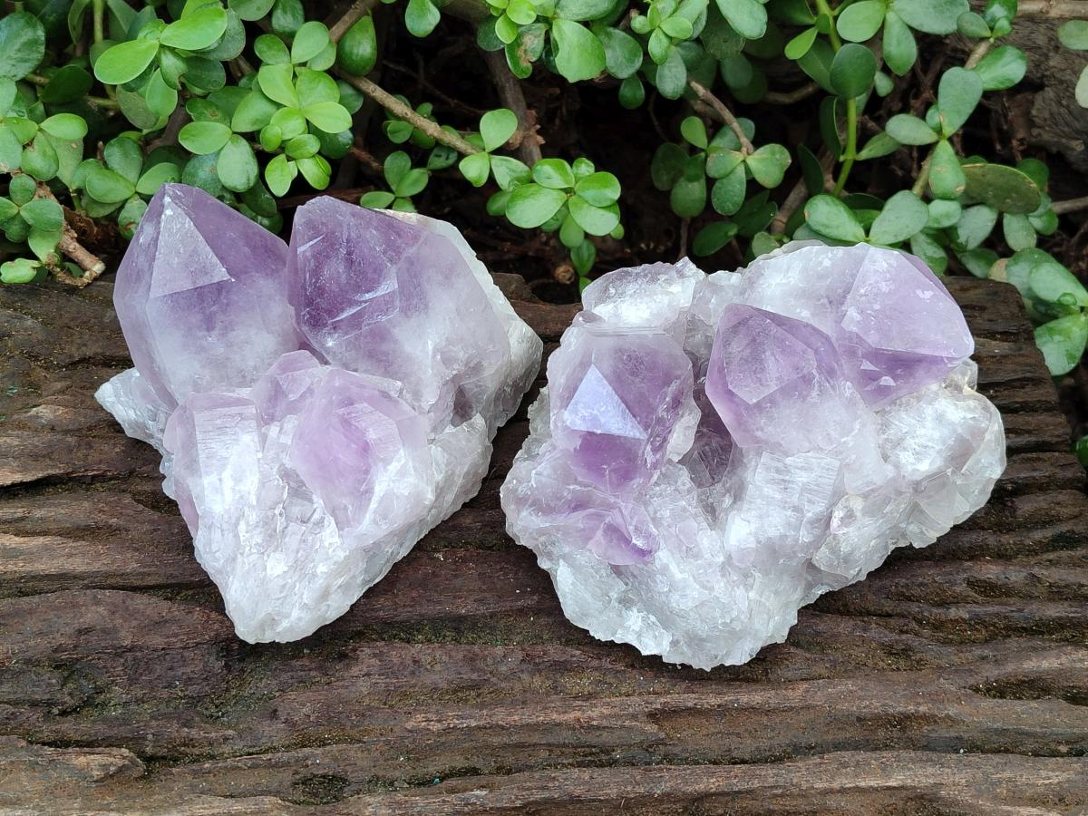 Natural Jacaranda Amethyst Crystal Clusters x 2 From Mumbwa, Zambia - Toprock Gemstones and Minerals 