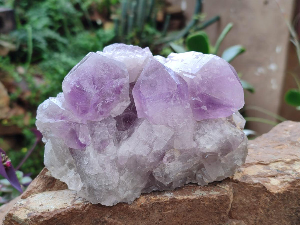 Natural Jacaranda Amethyst Crystal Clusters x 2 From Mumbwa, Zambia - Toprock Gemstones and Minerals 