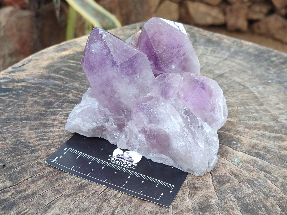 Natural Jacaranda Amethyst Crystal Clusters x 2 From Mumbwa, Zambia - Toprock Gemstones and Minerals 