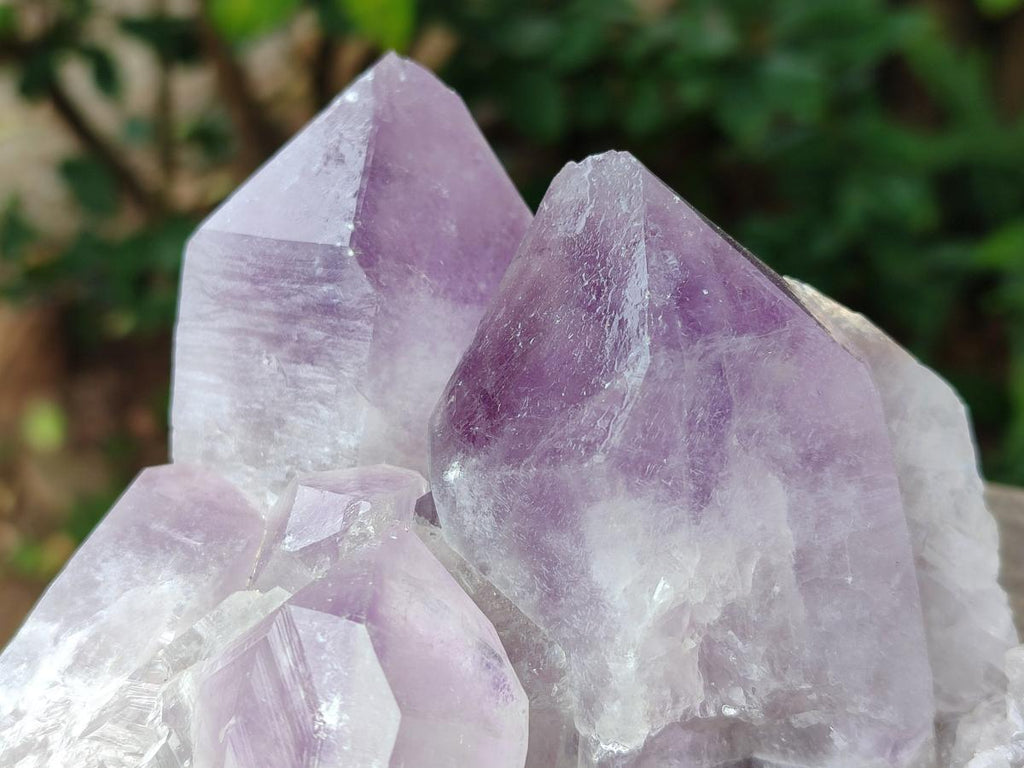 Natural Jacaranda Amethyst Crystal Clusters x 2 From Mumbwa, Zambia - Toprock Gemstones and Minerals 