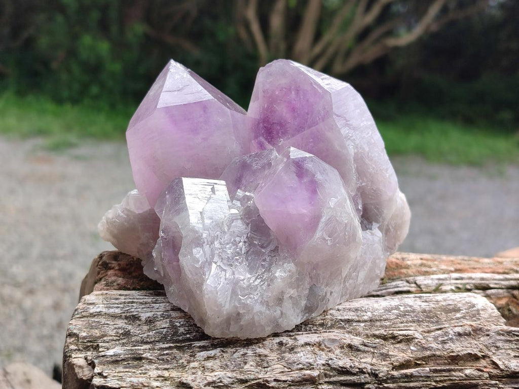 Natural Jacaranda Amethyst Crystal Clusters x 2 From Mumbwa, Zambia - Toprock Gemstones and Minerals 