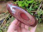 Polished Banded Tiger Iron Standing Display Pieces x 2 From South Africa - Toprock Gemstones and Minerals 