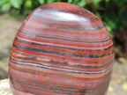 Polished Banded Tiger Iron Standing Display Pieces x 2 From South Africa - Toprock Gemstones and Minerals 