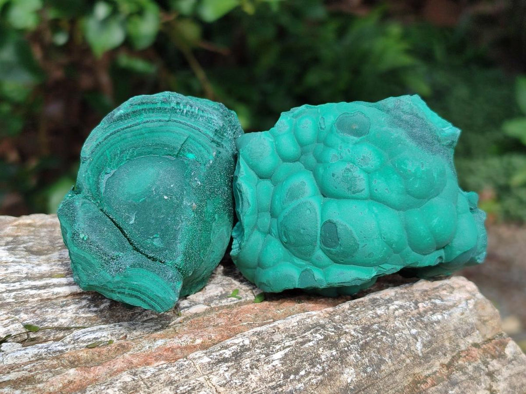Natural Botryoidal Malachite Specimens x 6 From Congo - Toprock Gemstones and Minerals 