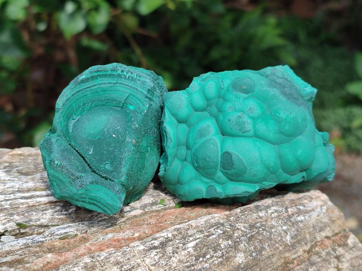 Natural Botryoidal Malachite Specimens x 6 From Congo - Toprock Gemstones and Minerals 