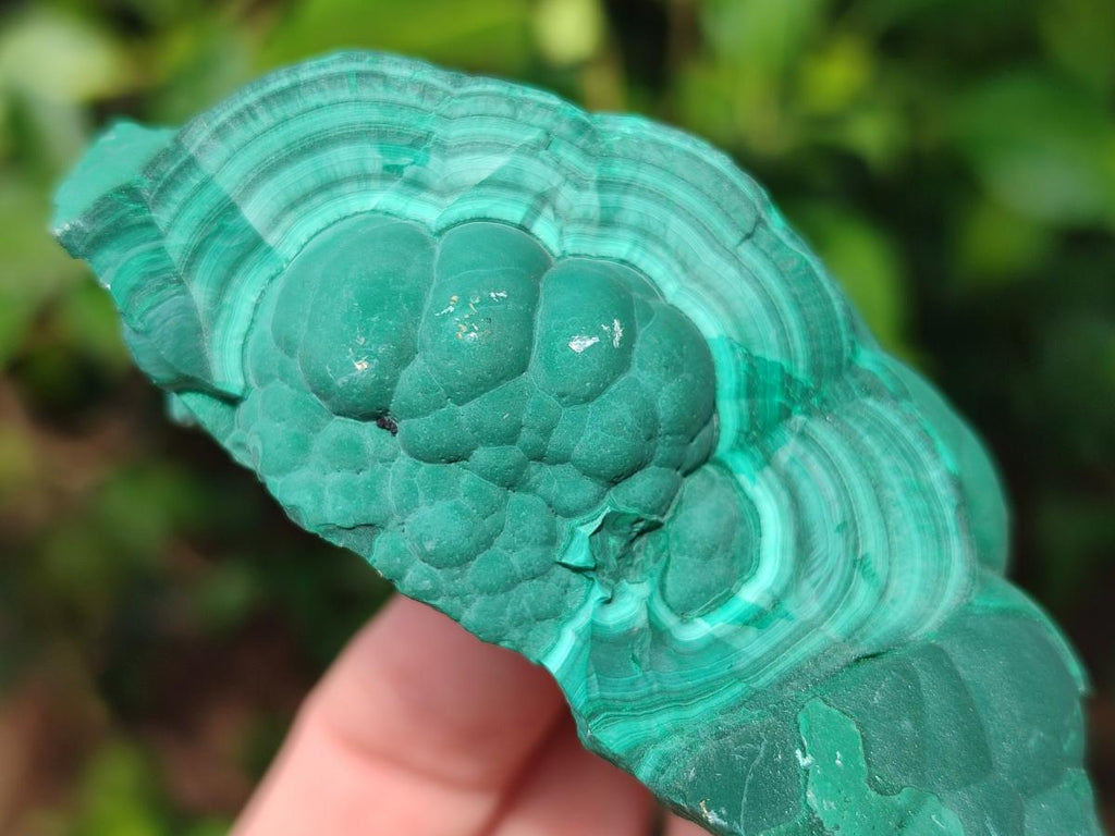 Natural Botryoidal Malachite Specimens x 6 From Congo - Toprock Gemstones and Minerals 