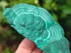 Natural Botryoidal Malachite Specimens x 6 From Congo - Toprock Gemstones and Minerals 