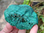 Natural Botryoidal Malachite Specimens x 6 From Congo - Toprock Gemstones and Minerals 