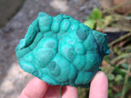 Natural Botryoidal Malachite Specimens x 6 From Congo - Toprock Gemstones and Minerals 
