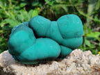 Natural Botryoidal Malachite Specimens x 6 From Congo - Toprock Gemstones and Minerals 