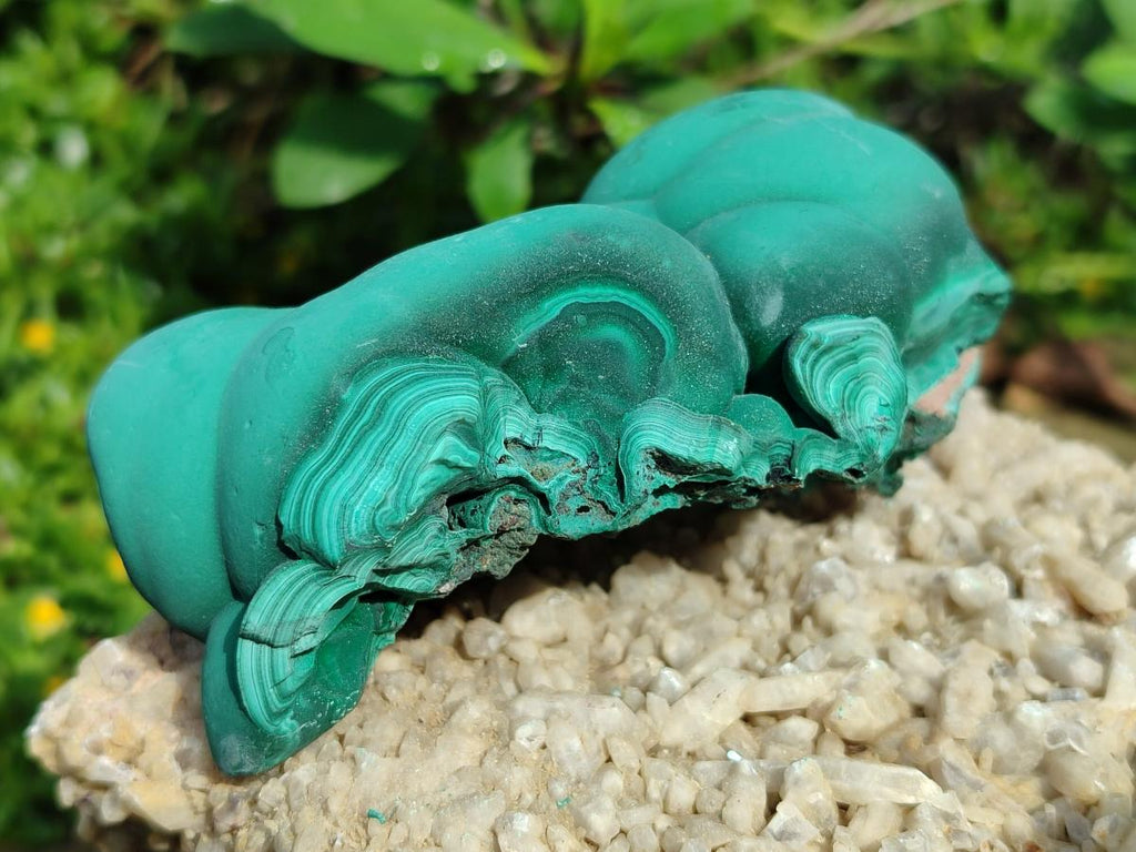 Natural Botryoidal Malachite Specimens x 6 From Congo - Toprock Gemstones and Minerals 