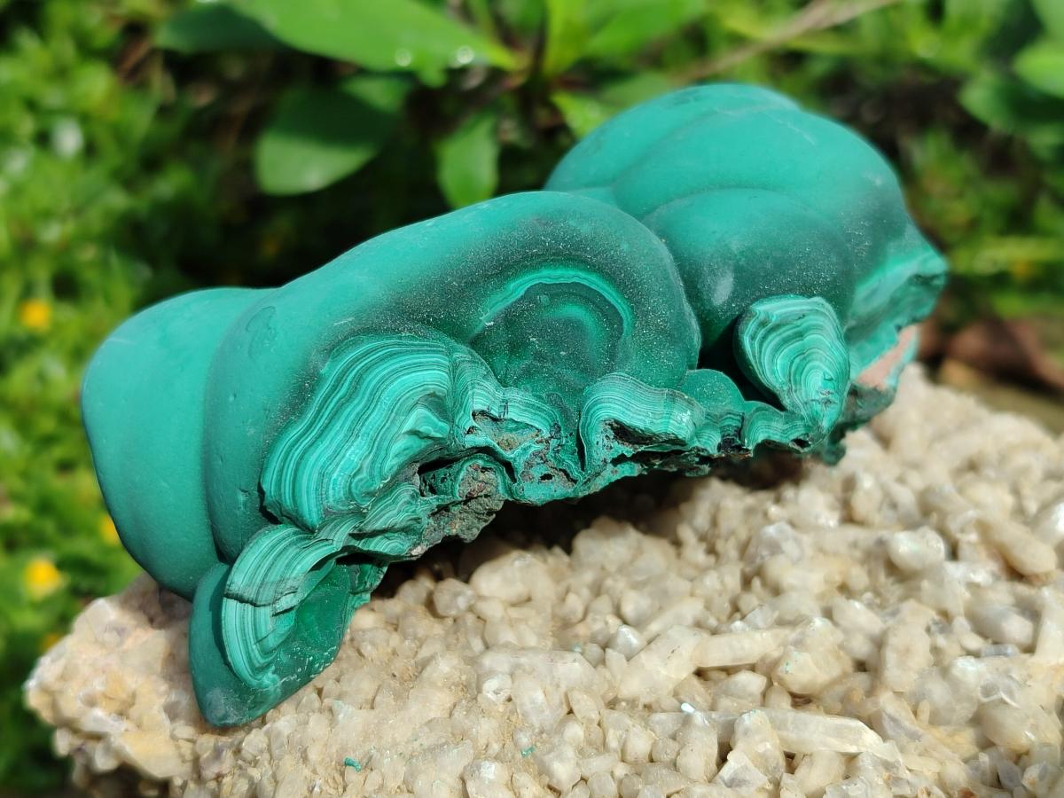 Natural Botryoidal Malachite Specimens x 6 From Congo - Toprock Gemstones and Minerals 