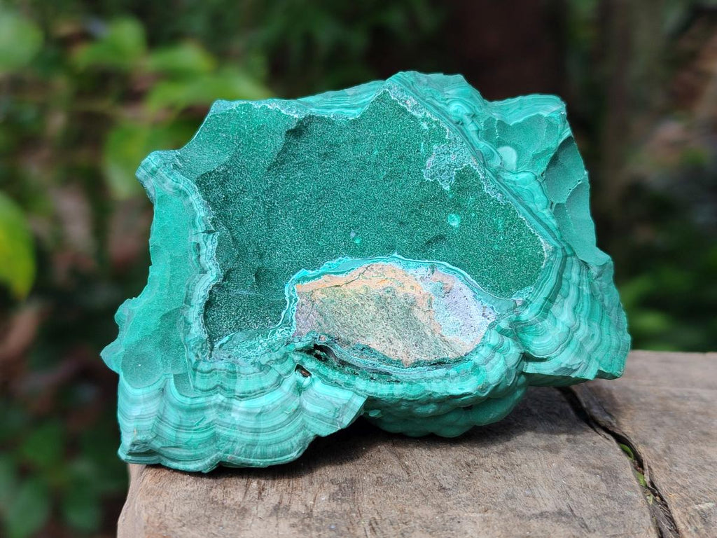 Natural Botryoidal Malachite Specimens x 6 From Congo - Toprock Gemstones and Minerals 