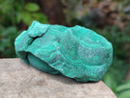 Natural Botryoidal Malachite Specimens x 6 From Congo - Toprock Gemstones and Minerals 
