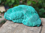 Natural Botryoidal Malachite Specimens x 6 From Congo - Toprock Gemstones and Minerals 