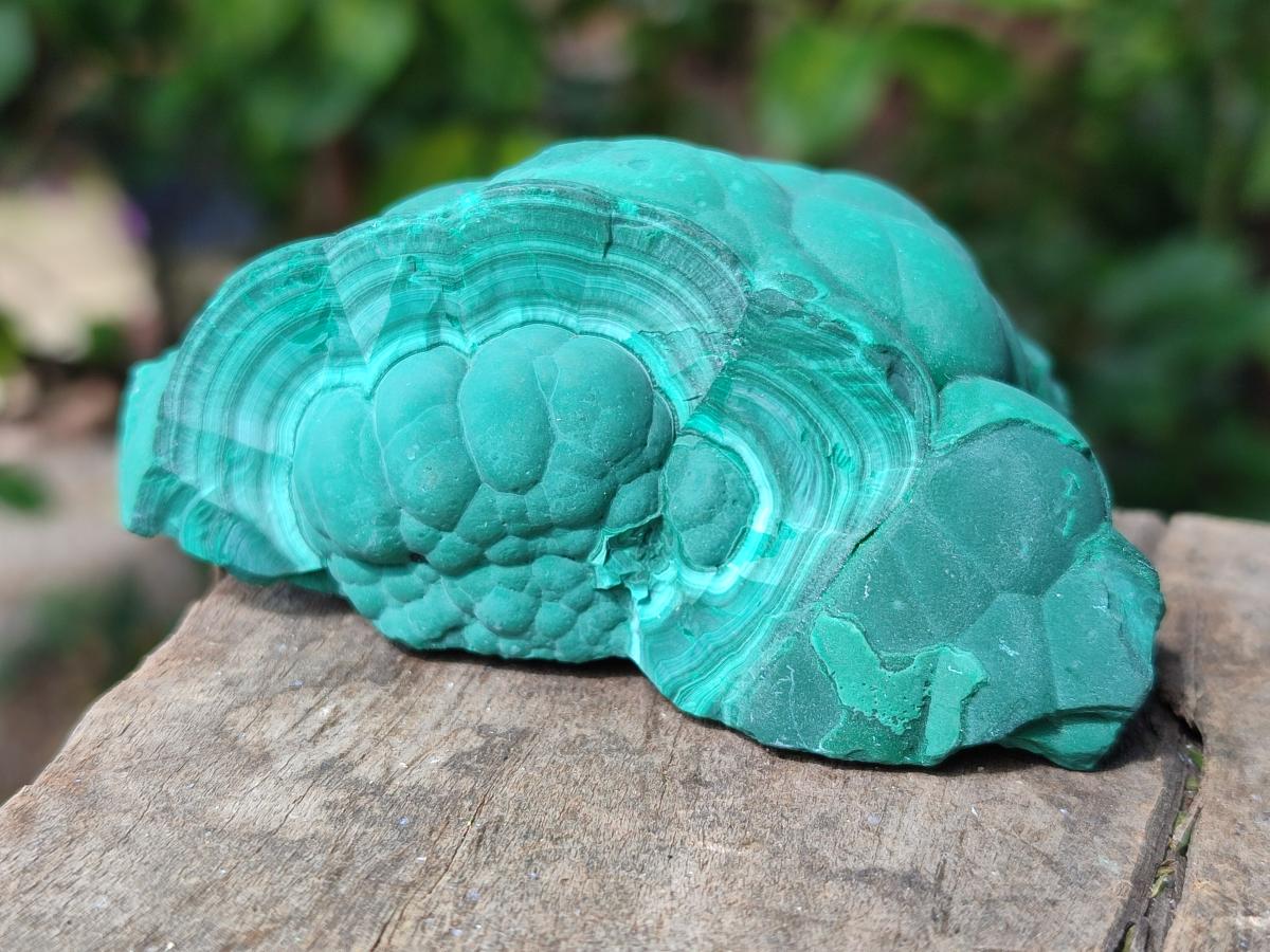 Natural Botryoidal Malachite Specimens x 6 From Congo - Toprock Gemstones and Minerals 