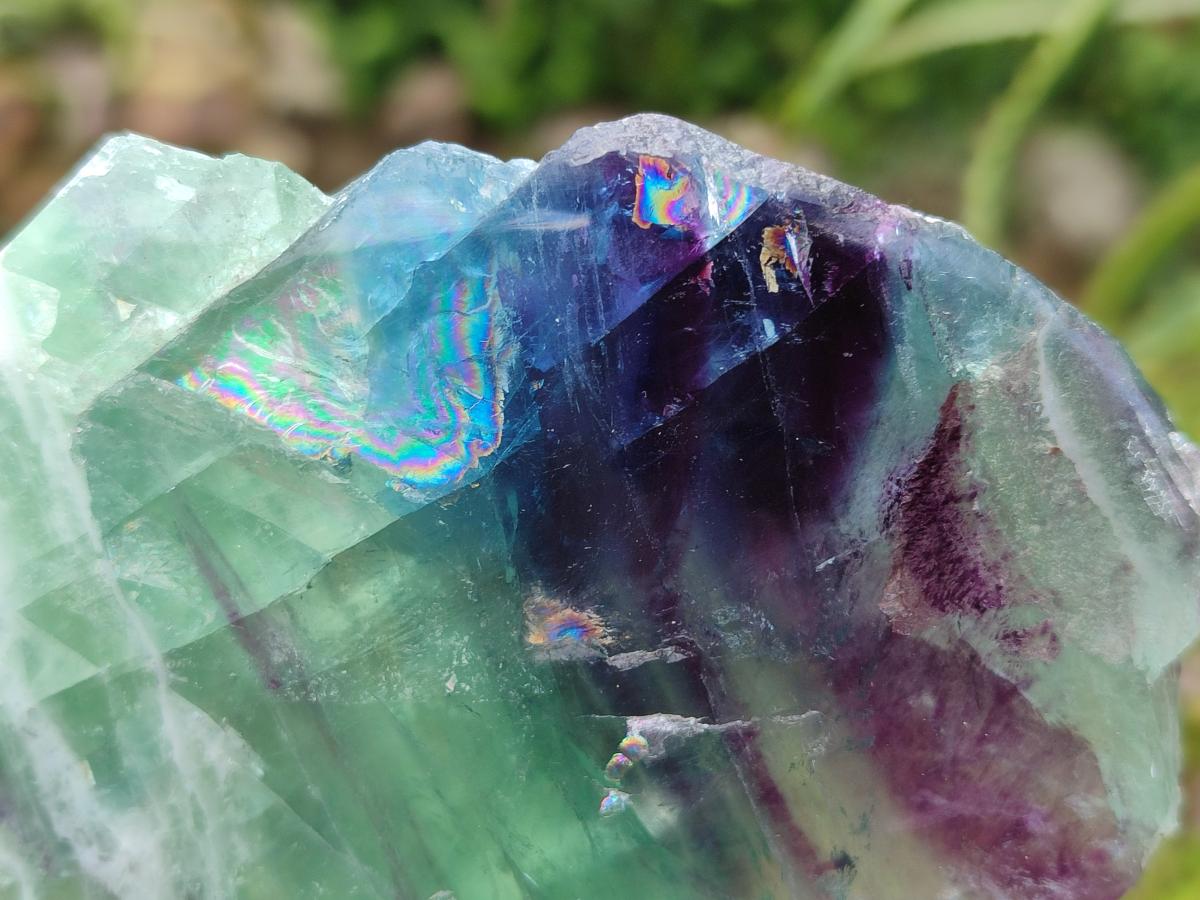 Polished Watermelon Fluorite Slices x 3 From Uis, Namibia - Toprock Gemstones and Minerals 