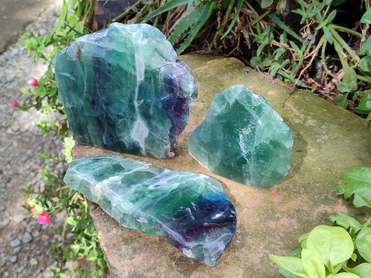 Polished Watermelon Fluorite Slices x 3 From Uis, Namibia - Toprock Gemstones and Minerals 