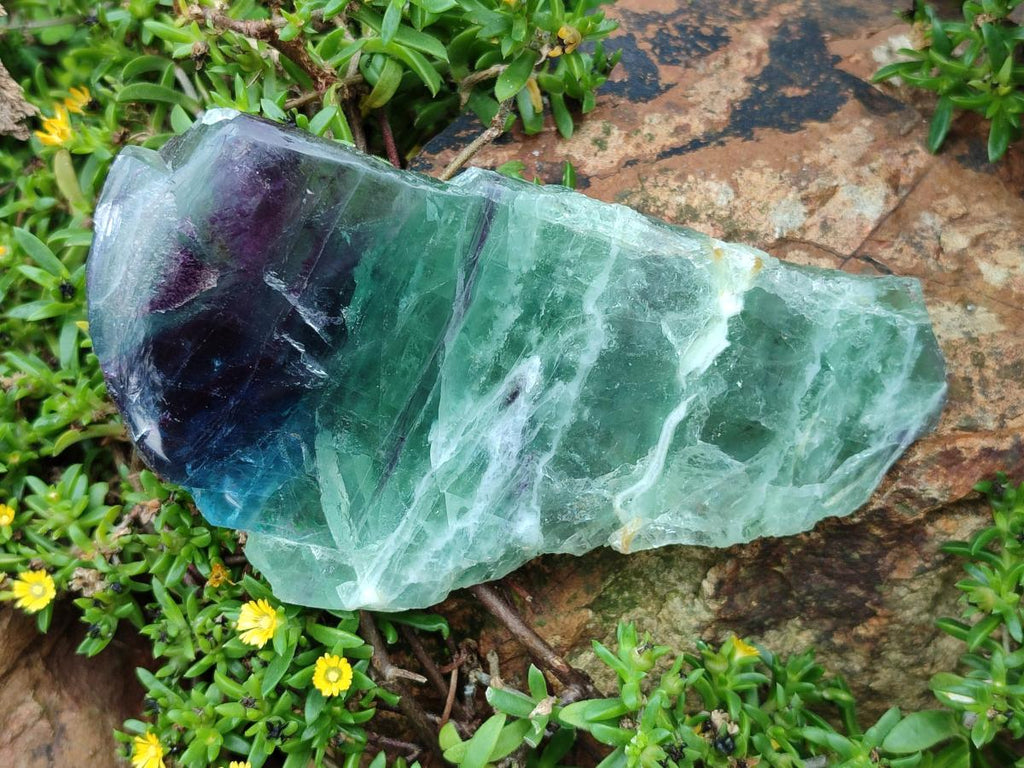 Polished Watermelon Fluorite Slices x 3 From Uis, Namibia - Toprock Gemstones and Minerals 