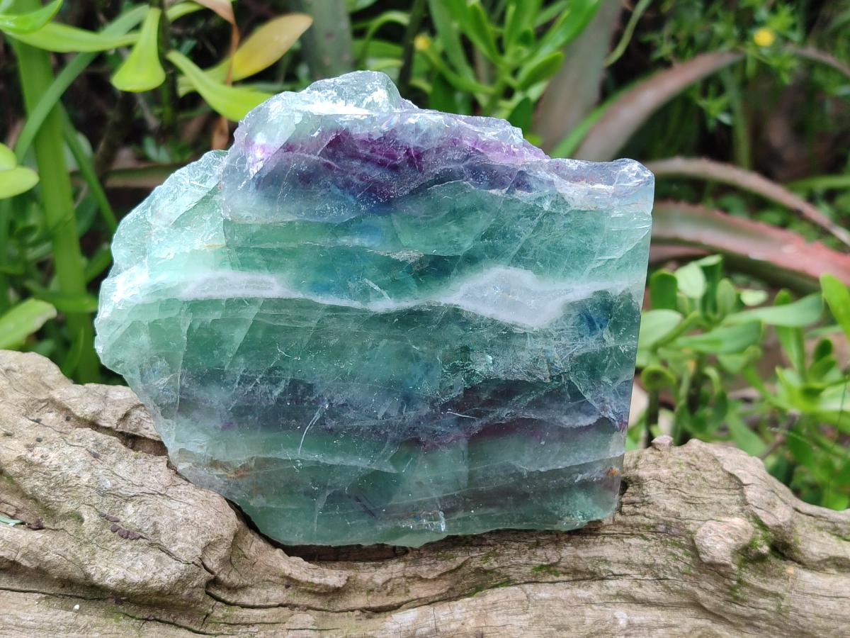 Polished Watermelon Fluorite Slices x 3 From Uis, Namibia - Toprock Gemstones and Minerals 