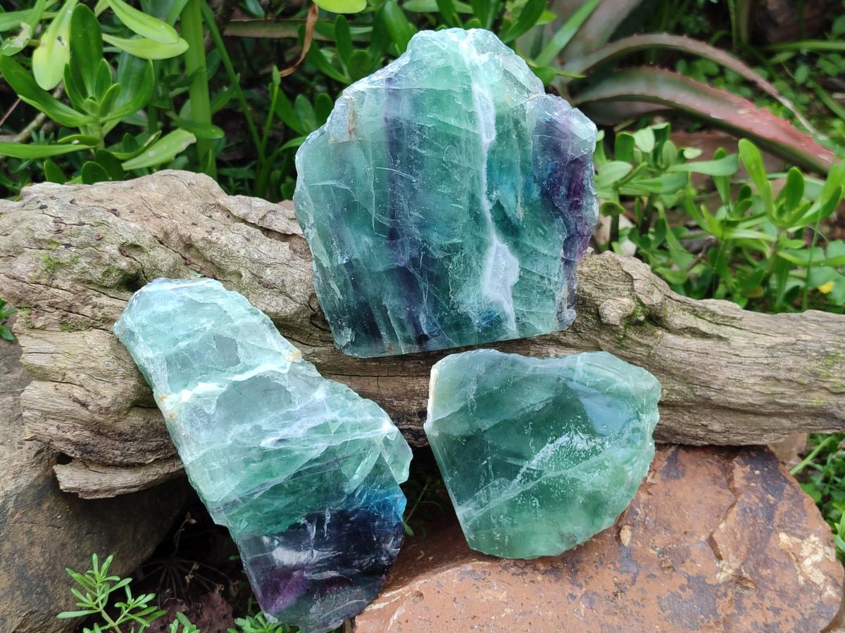 Polished Watermelon Fluorite Slices x 3 From Uis, Namibia - Toprock Gemstones and Minerals 