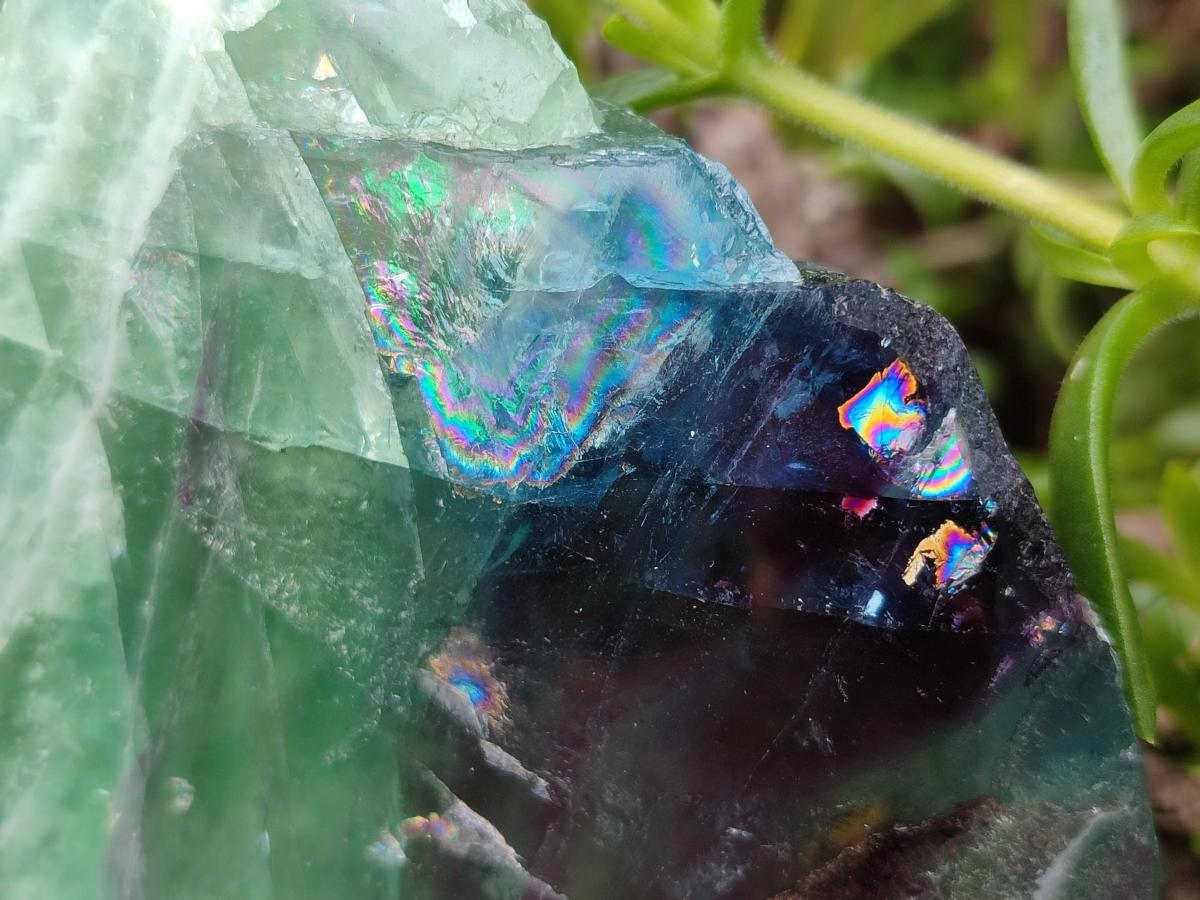 Polished Watermelon Fluorite Slices x 3 From Uis, Namibia - Toprock Gemstones and Minerals 