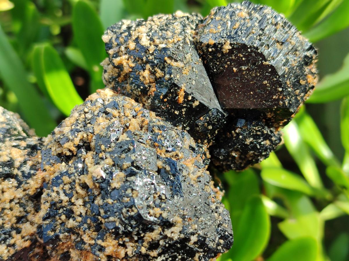 Natural Schorl Black Tourmaline with Muscovite Mica Specimens x 2 From Erongo, Namibia - Toprock Gemstones and Minerals 