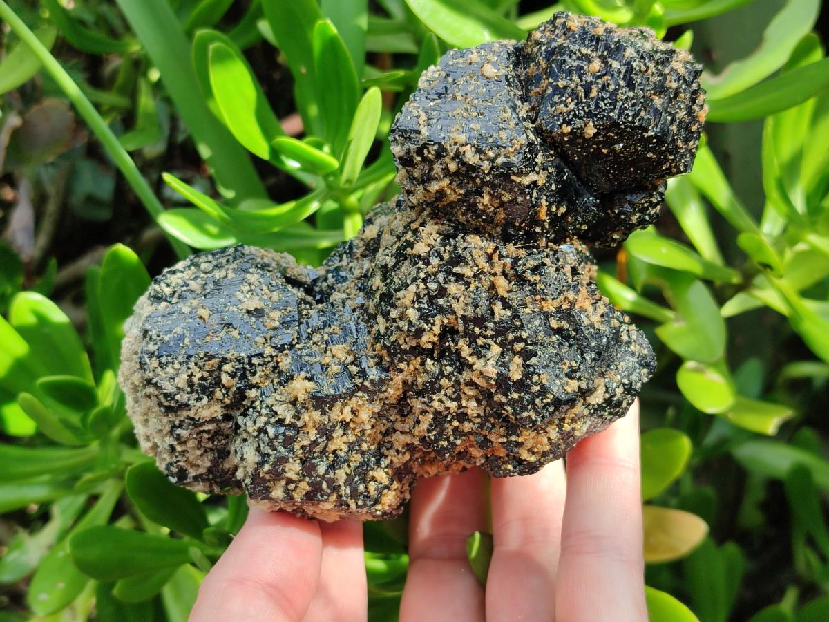 Natural Schorl Black Tourmaline with Muscovite Mica Specimens x 2 From Erongo, Namibia - Toprock Gemstones and Minerals 