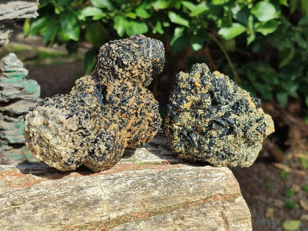 Natural Schorl Black Tourmaline with Muscovite Mica Specimens x 2 From Erongo, Namibia - Toprock Gemstones and Minerals 