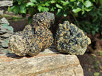 Natural Schorl Black Tourmaline with Muscovite Mica Specimens x 2 From Erongo, Namibia - Toprock Gemstones and Minerals 