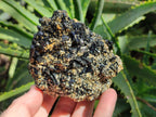 Natural Schorl Black Tourmaline with Muscovite Mica Specimens x 2 From Erongo, Namibia - Toprock Gemstones and Minerals 