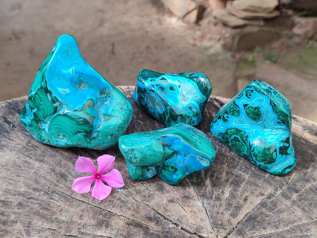 Polished Malacolla Free Forms x 4 From Kulukuluku, Congo - Toprock Gemstones and Minerals 